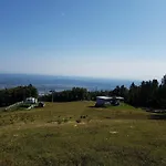 Bolfenk Apartamento *