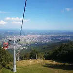 Bolfenk