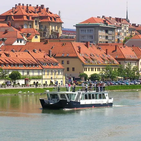 Bolfenk * Hočko Pohorje