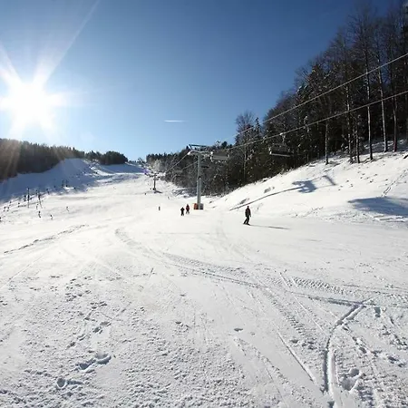 Bolfenk Hočko Pohorje