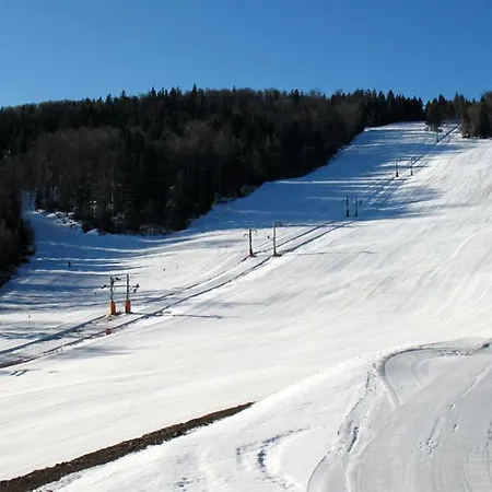 Bolfenk