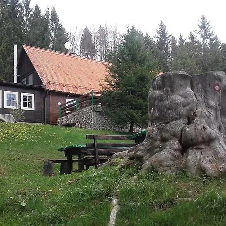 Bolfenk