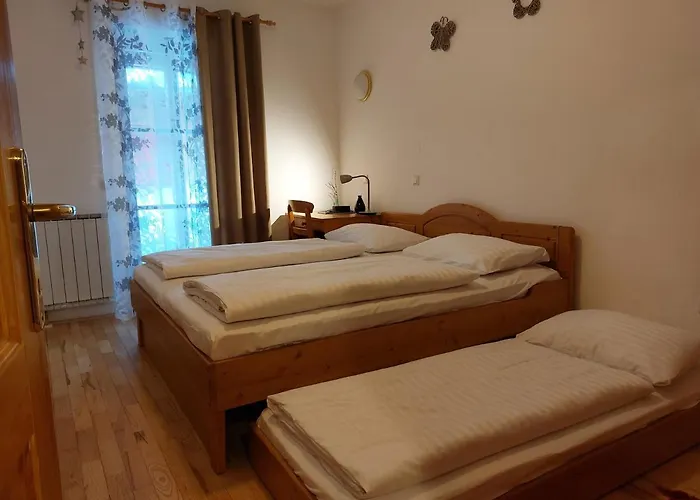 Bolfenk Hočko Pohorje