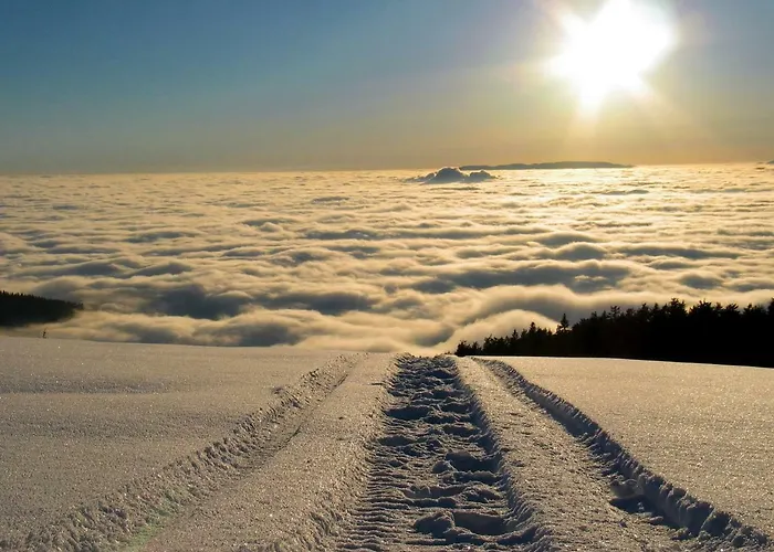 Apartmán Bolfenk Hočko Pohorje