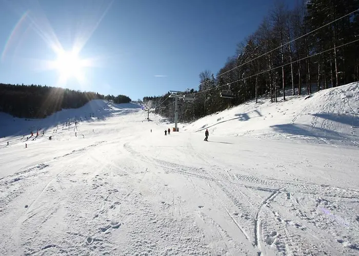 Bolfenk Hočko Pohorje