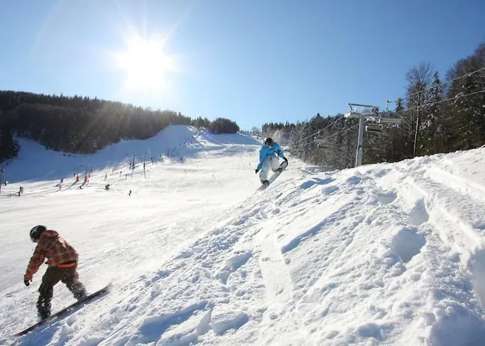 Bolfenk Hočko Pohorje